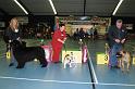 kerstshow 2008 010